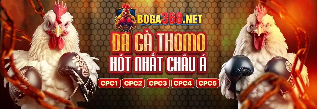 Tổng quan các chương trình khuyến mãi 98win98